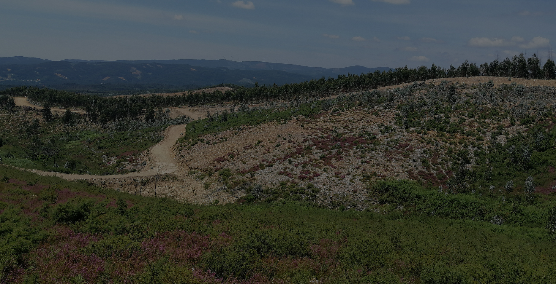 resultados_impactos_1_3