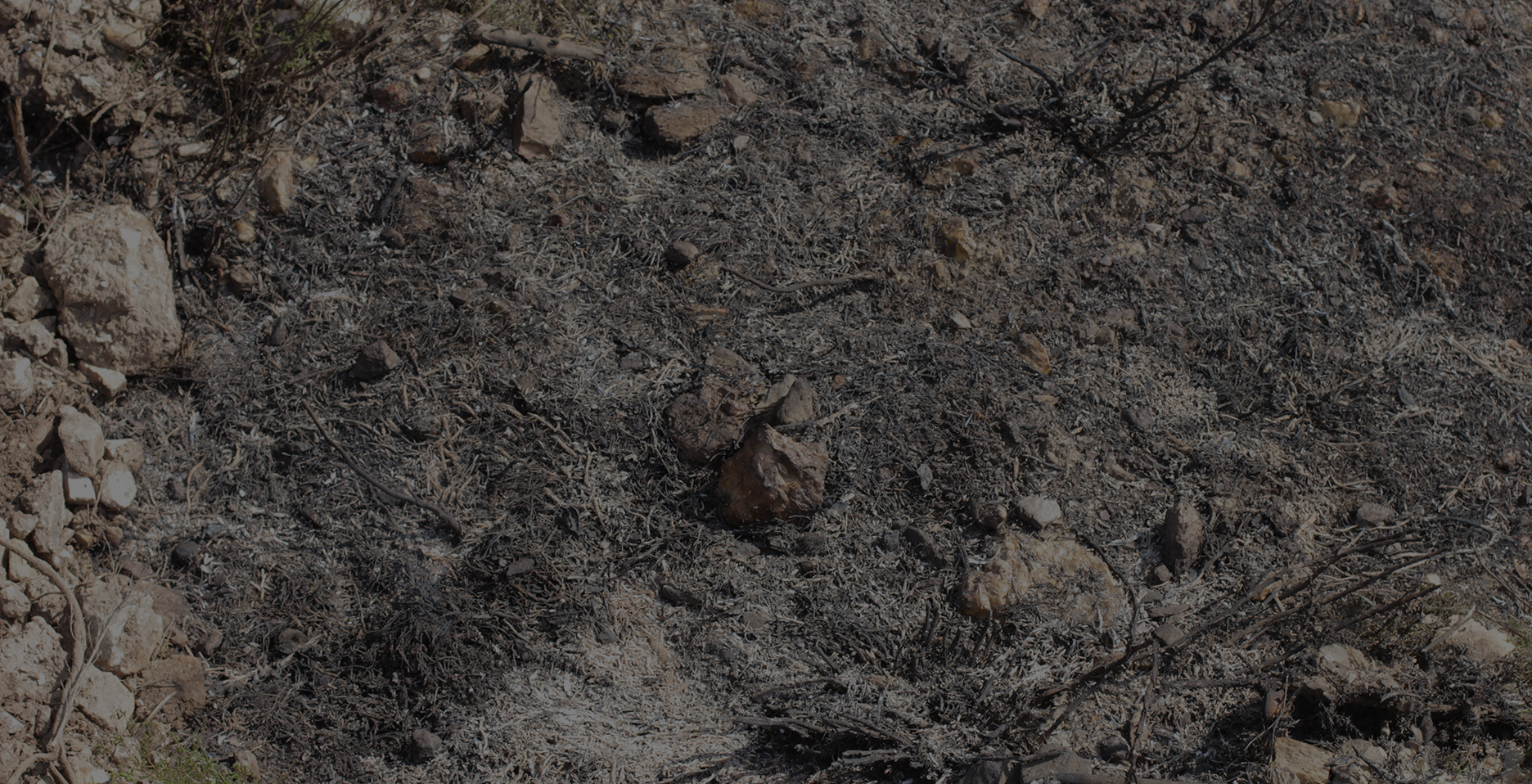 resultados_impactos_2_3